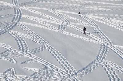 snow art simon traces lo