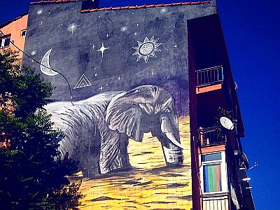 Kadıköy Mural resimler fil