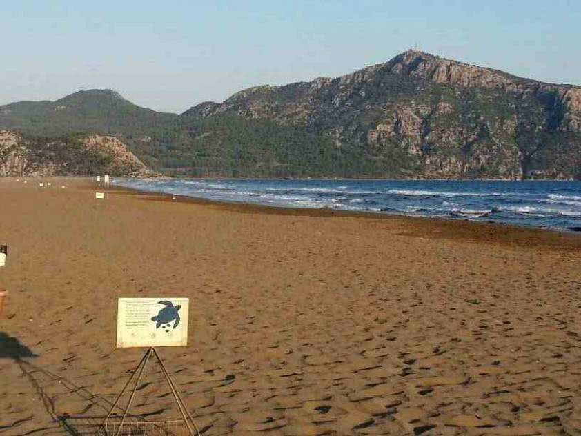 Kimin Kumsalını Kime Veriyorsun??