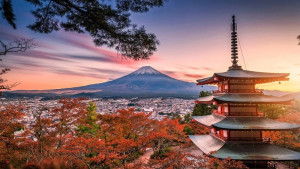 Kızıl Ormanlar - Bir Japon Masalı : Vizesiz Japonya Gezisi - 15 Kasım 2024